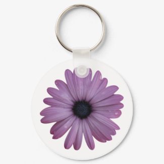 A purple daisy-like flower