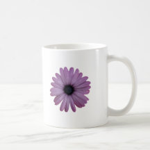 Purple Daisy Like Flower Osteospermum ecklonis Coffee Mugs