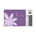Purple Daisy Love