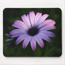 Purple Daisy mousepads by Priscilla48 Purple Daisy mousepads