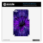 Purple Daisy Passion iPod Touch 4G Skins