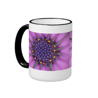 Purple Daisy Picture Coffee Mugs