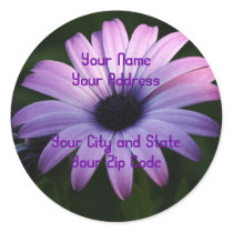 Purple Daisy stickers by Priscilla48 Purple Daisy stickers