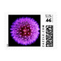 Purple Dandelion Stamp by ggbythebay Purple Dandelion Stamp