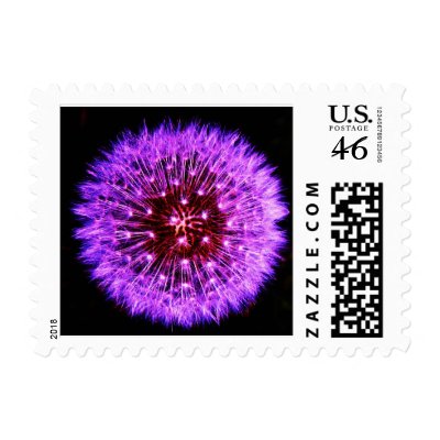 Purple Dandelion Stamp by ggbythebay
