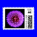Purple Dandelion Stamp