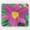 Purple Daylily Mousepad by mulberry1 Purple Daylily Mousepad