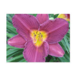 Purple Daylily Postcard Purple Daylily Postcard