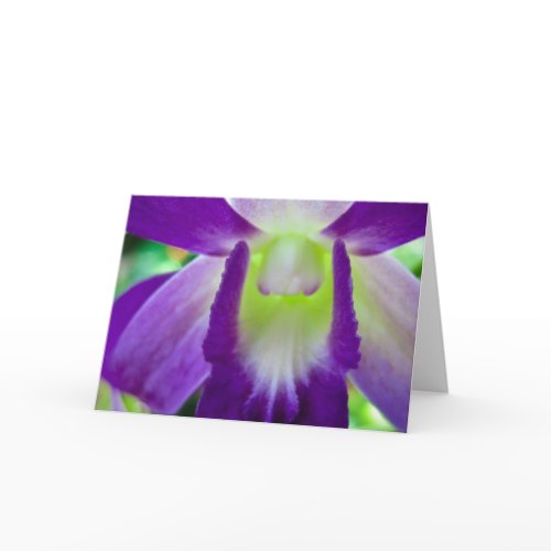 Purple Delight card