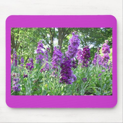 Purple Delphinium mousepad