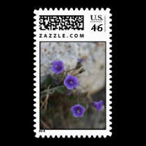 Purple Desert Flowers - Postage Stamp
