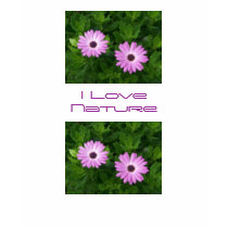 Purple Devine t-shirts