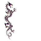 edun_live_ladies_tshirt - Purple dragon design.