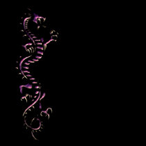 PURPLE DRAGON