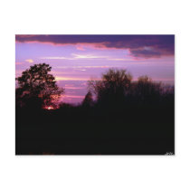Purple Dusk Postcard