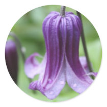 Purple Elegance Round Stickers