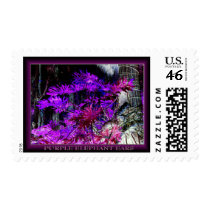 PURPLE ELEPHANT EARS postage by RASLIONPHOTOGRAPHY PURPLE ELEPHANT EARS postage