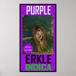 PURPLE ERKLE INDICA PRINT