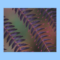 Purple Fern on Canvas Print canvas prints