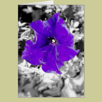 Purple fever cards