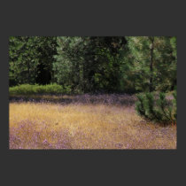 Purple Field 2 posters