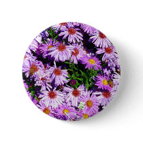 Purple Field buttons