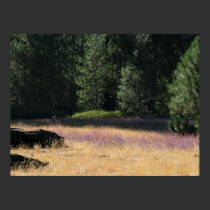 Purple Field posters