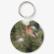 Purple Finch keychains by Orchidimages Purple Finch keychains