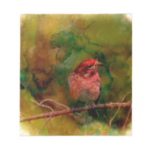 Purple Finch Memo Pad