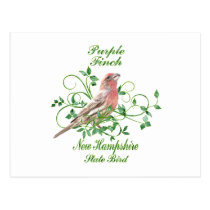 Purple Finch New Hampshire State Bird postcards