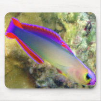 Purple Firefish Mousepad by fishlore Purple Firefish Mousepad