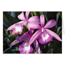 Purple Flock of Orchids cards