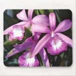 Purple Flock of Orchids Mouse Pads