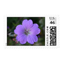 purple flower 1 postage