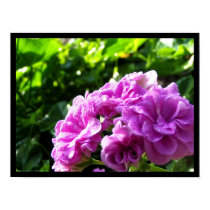 Purple Flower 2 posters