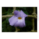 Purple flower and rope | Card