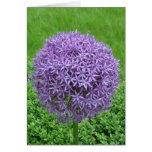 Purple Flower Ball Greeting Cards