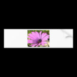 Purple Flower bumper stickers