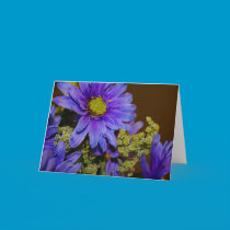 Purple Flower Card cards