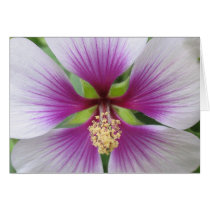 purple flower cards