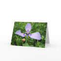 Purple Flower cards by pixiefish Purple Flower cards