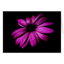 Purple Flower cards by peterspooner Purple Flower cards