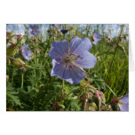 Purple Flower Card