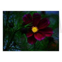 Purple Flower Card (Blank) cards