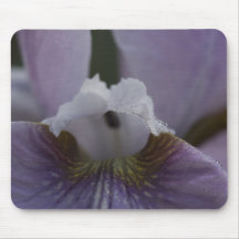 purple-flower-dew-2012-05-26 mousepads