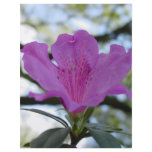 Purple Flower Personalized Flyer