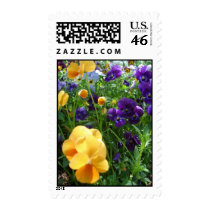 Purple Flower Focus stamps