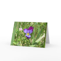 Purple Flower greeting & note cards by wingedturtle Purple Flower greeting & note cards