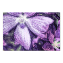 Purple Flower Illustration Photographic Print