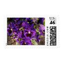 Purple Flower In Park postage
